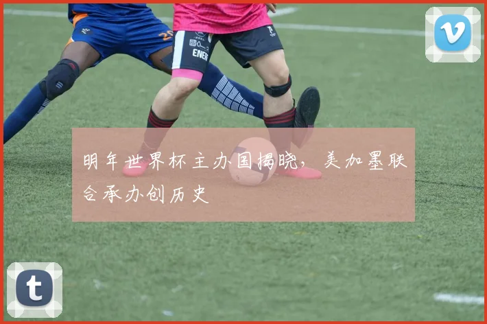 明年世界杯主办国揭晓，美加墨联合承办创历史