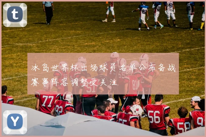 冰岛世界杯出场球员名单公布备战赛事阵容调整受关注