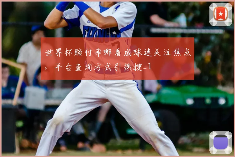世界杯赔付率哪看成球迷关注焦点，平台查询方式引热搜_1
