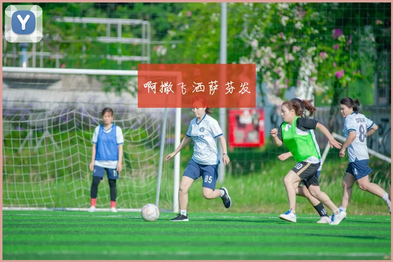 专家解读世界杯预选赛规则变化及其对各队影响