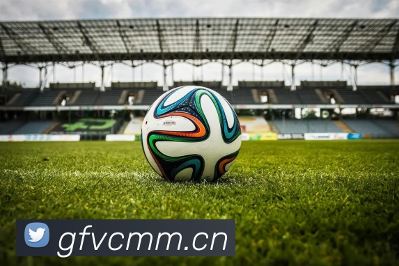 俄罗斯世界杯中国官网平台生态图